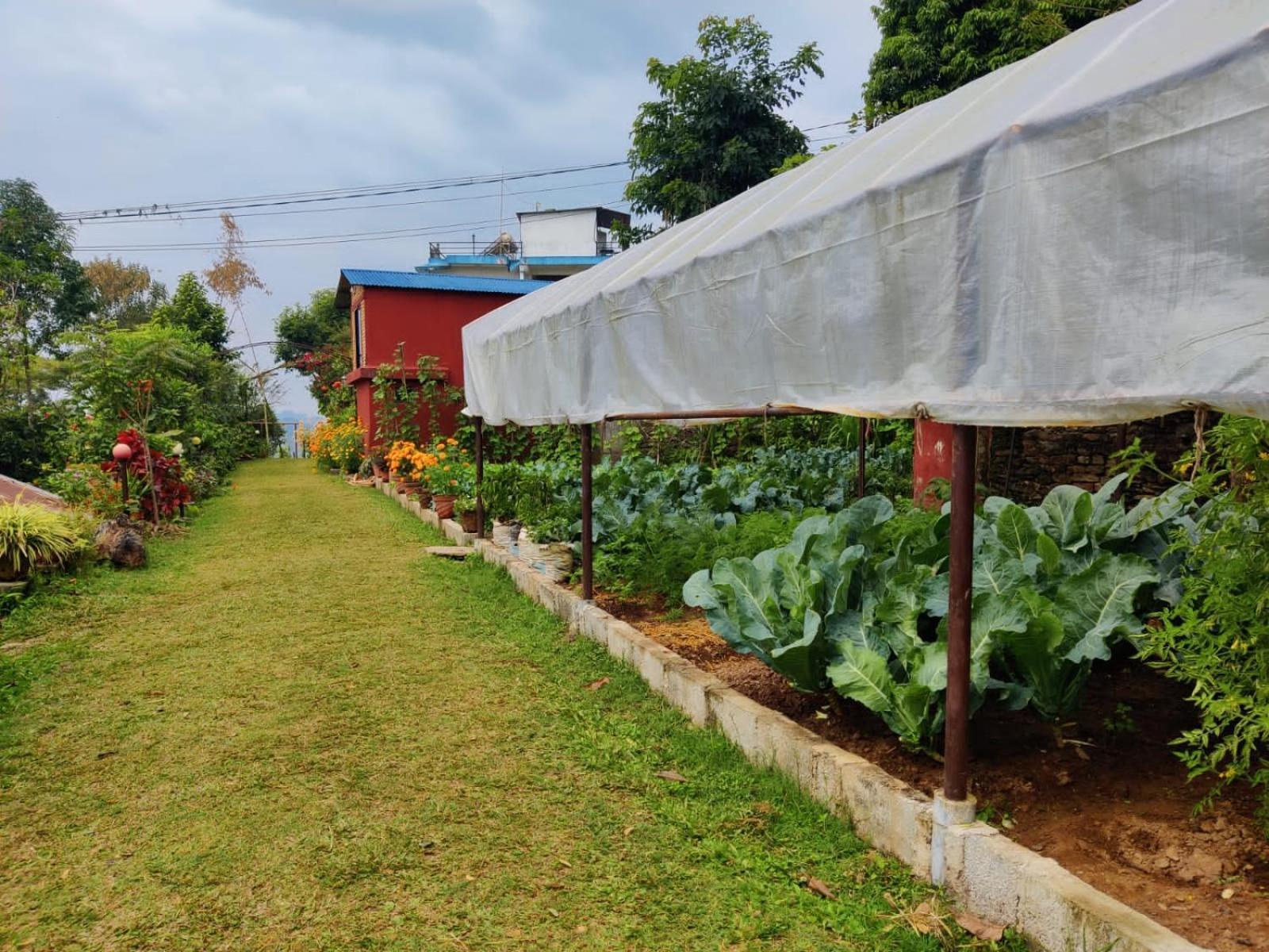 Himalaya Serene View Guest House & Farm Stay Deorāli エクステリア 写真