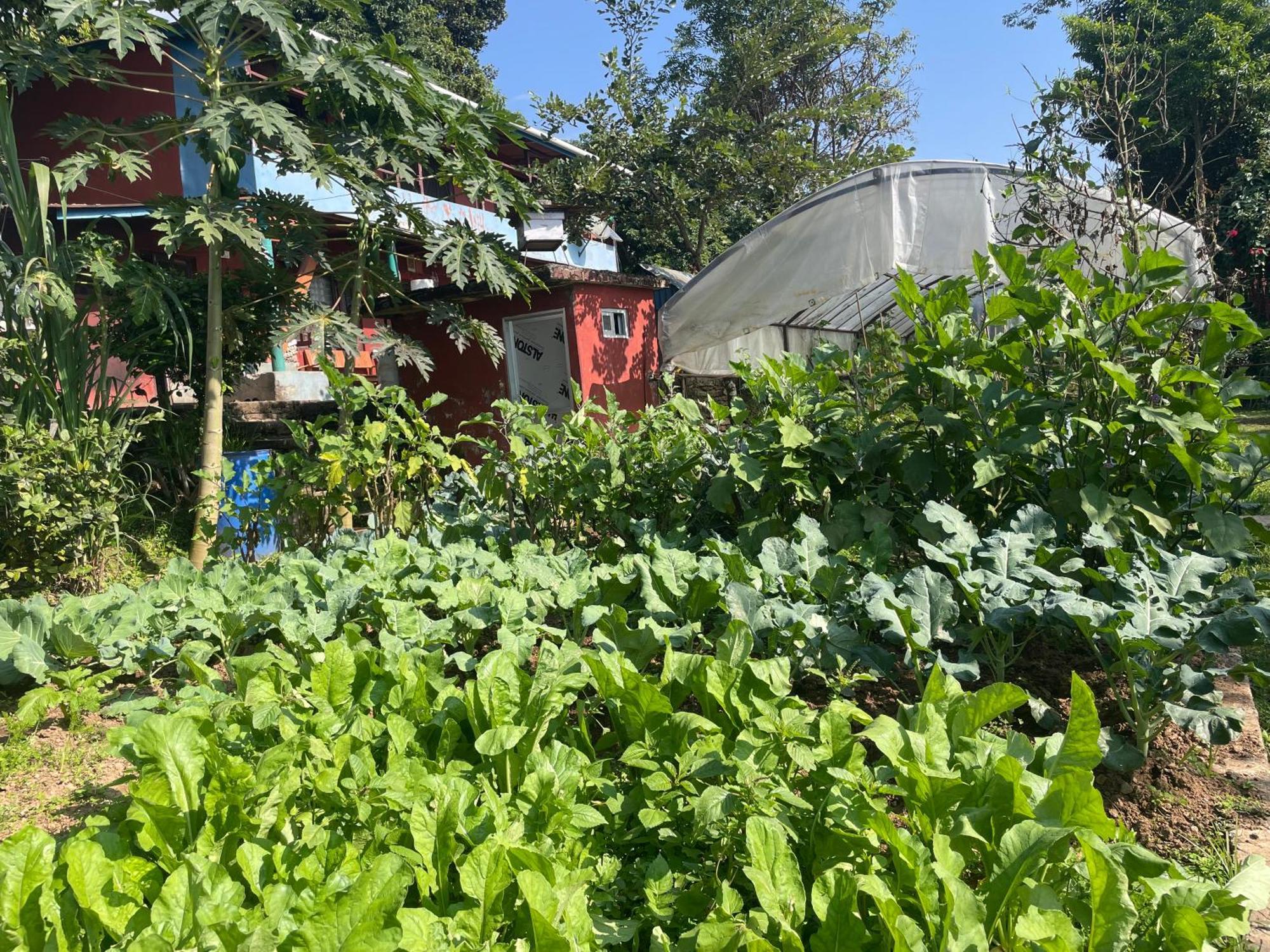 Himalaya Serene View Guest House & Farm Stay Deorāli エクステリア 写真