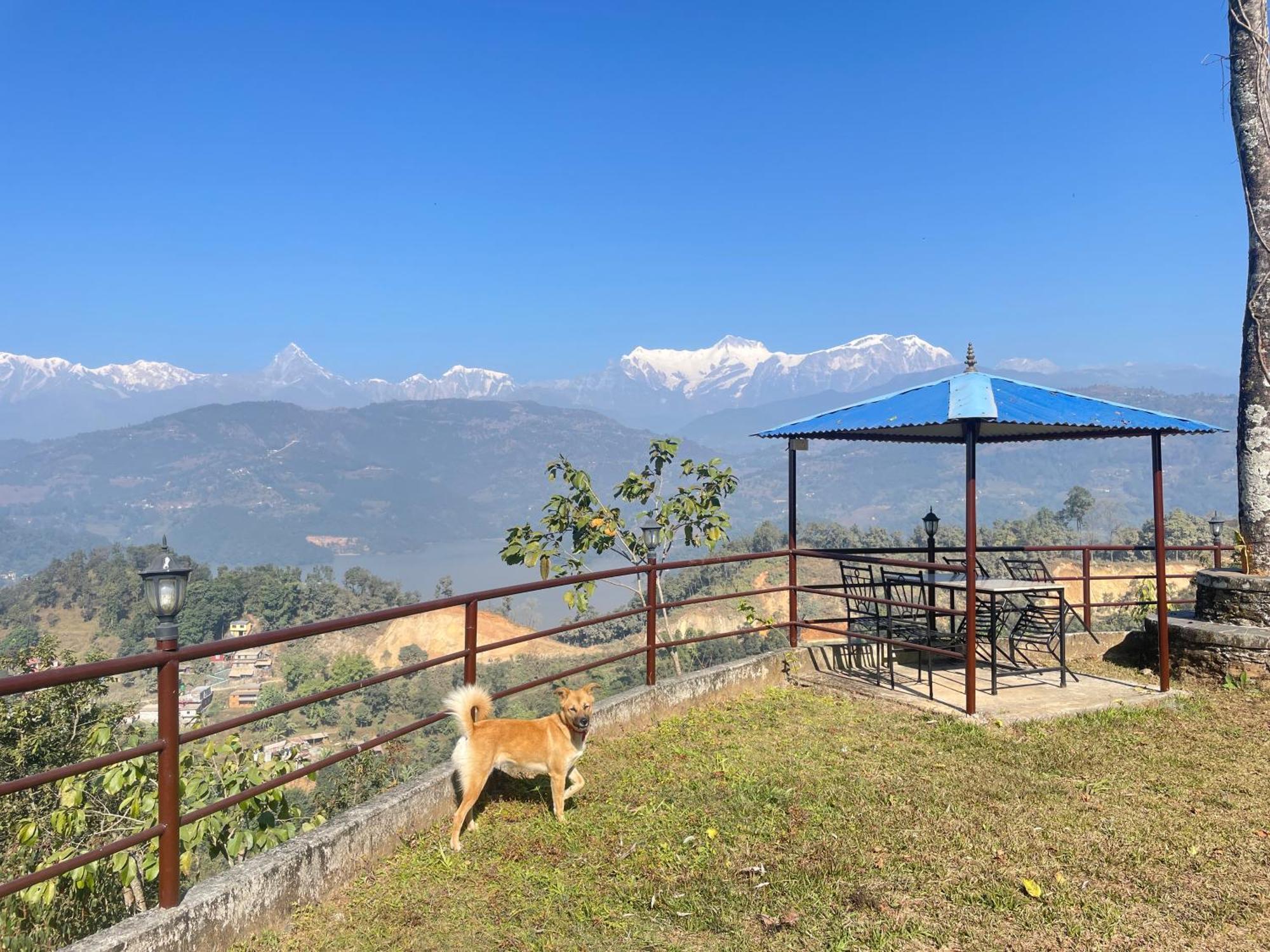 Himalaya Serene View Guest House & Farm Stay Deorāli エクステリア 写真